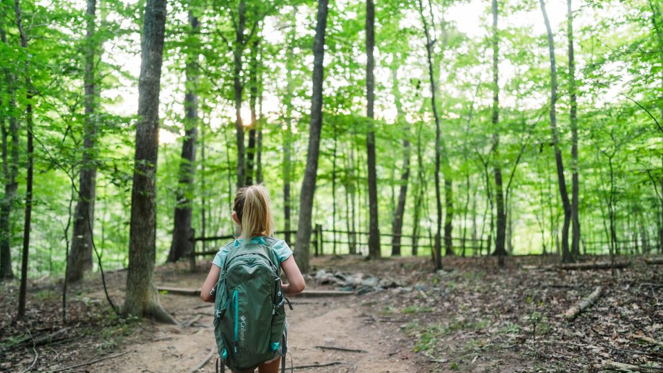 Accueil Ville d'Acton Vale