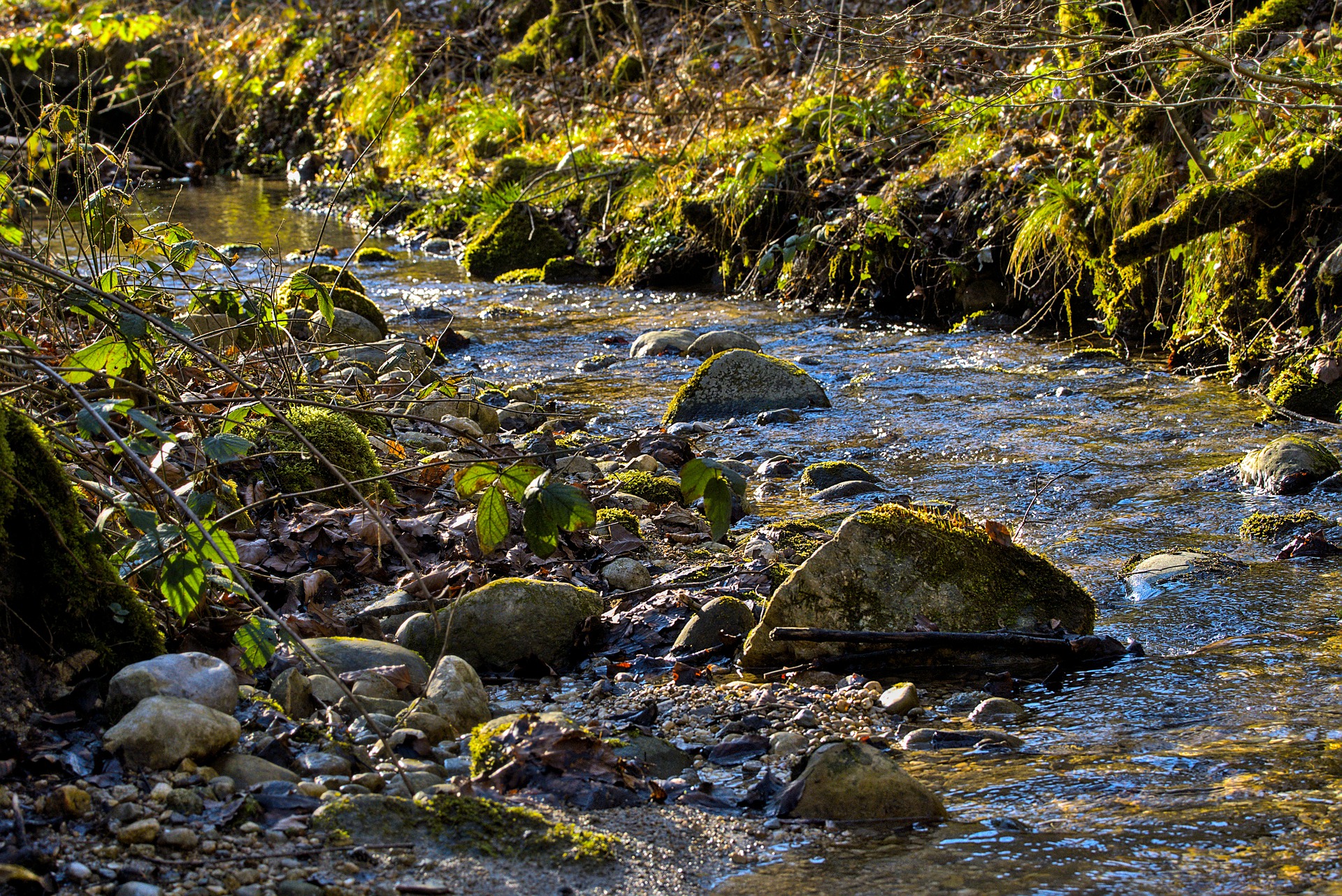 La gestion des cours d'eau une compétence exclusive de la MRC Ville